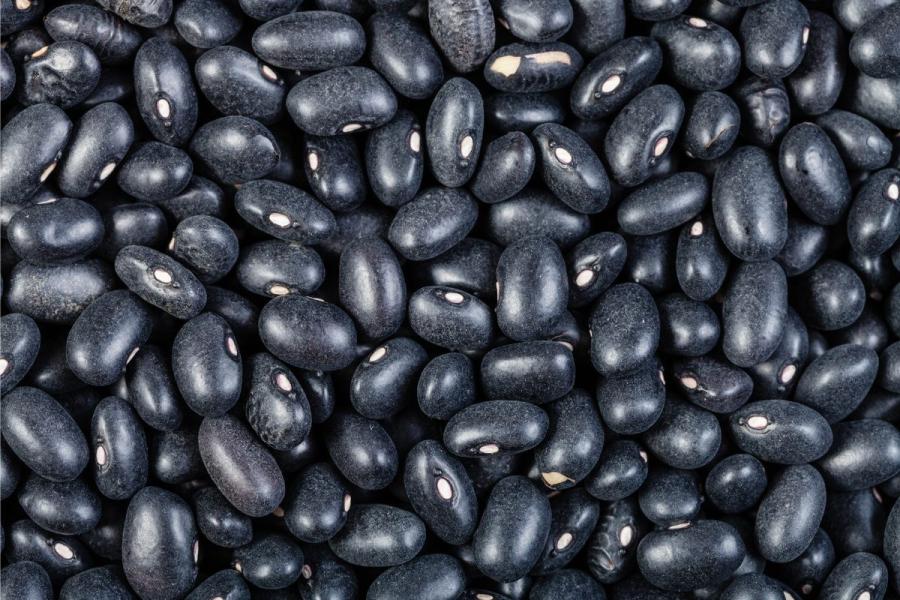 Detalle de alubias negras.