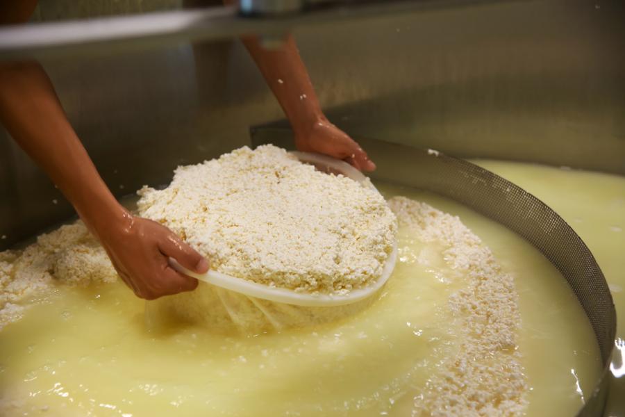 Un hombre separando el cuajo del suero de leche al hacer queso.