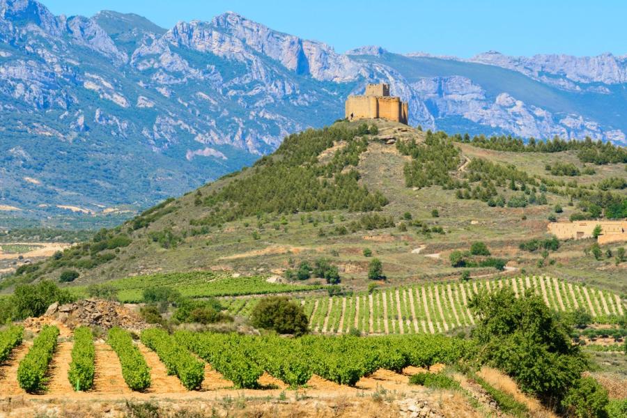 Viñedos en La Rijoa con el castillo de Davadillo al fondo.