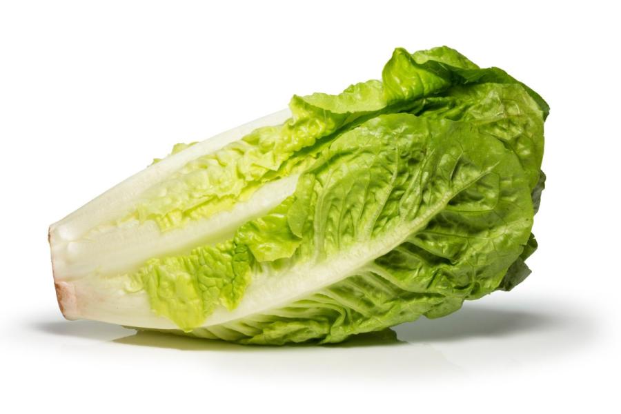 Lechuga romana o cos.