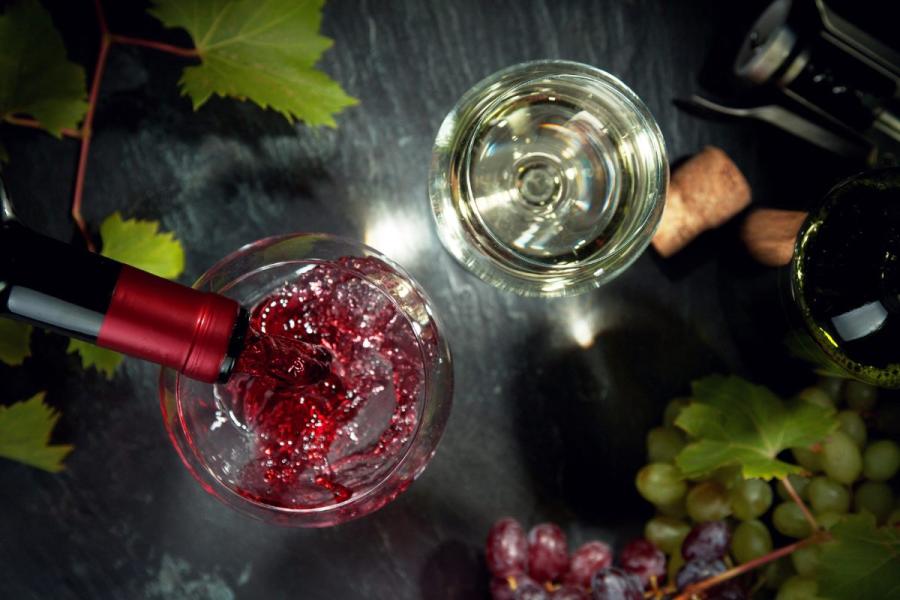 Sirviendo vino tinto en una copa, mientras hay otra copa llena con vino blanco al lado y uvas alrededor, naturaleza muerta.