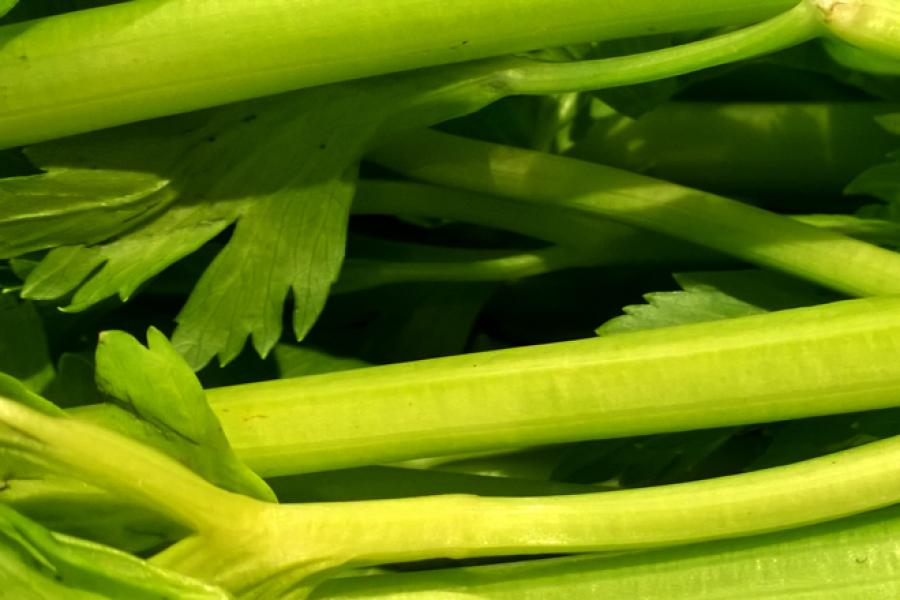 Apio verde.