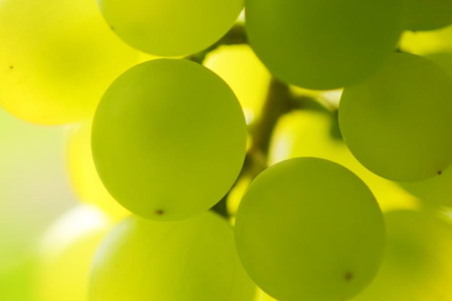 Uvas blancas, contraste.