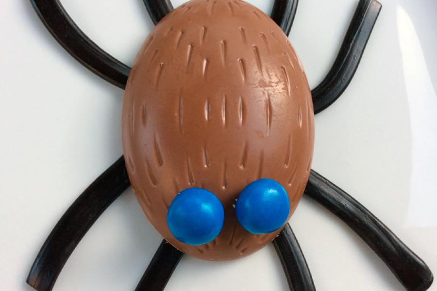 Araña de chocolate y regaliz.