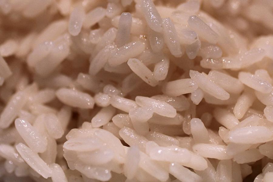 Arroz blanco hervido.