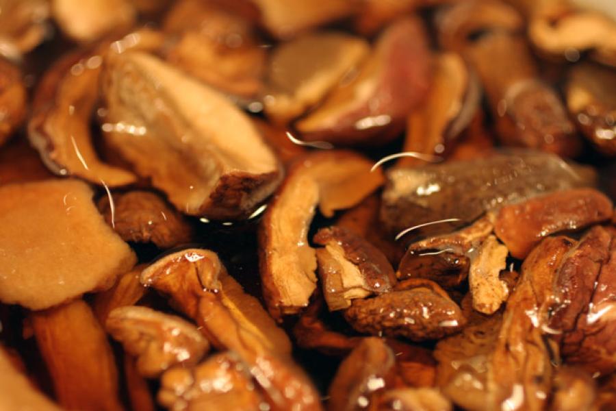 Boletus a remojo.