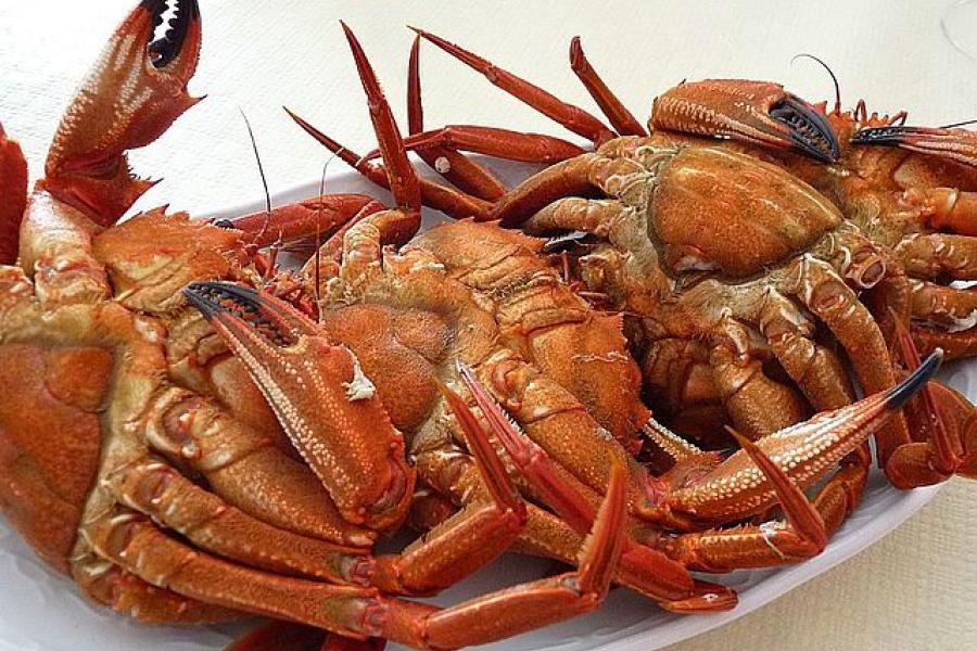 Cangrejos cocidos en un plato.