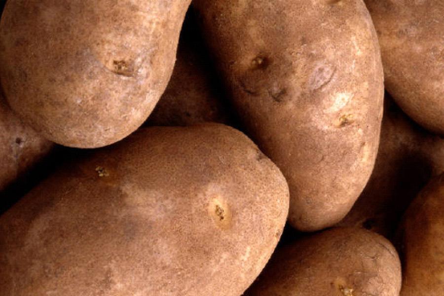 Patatas rojas limpias.