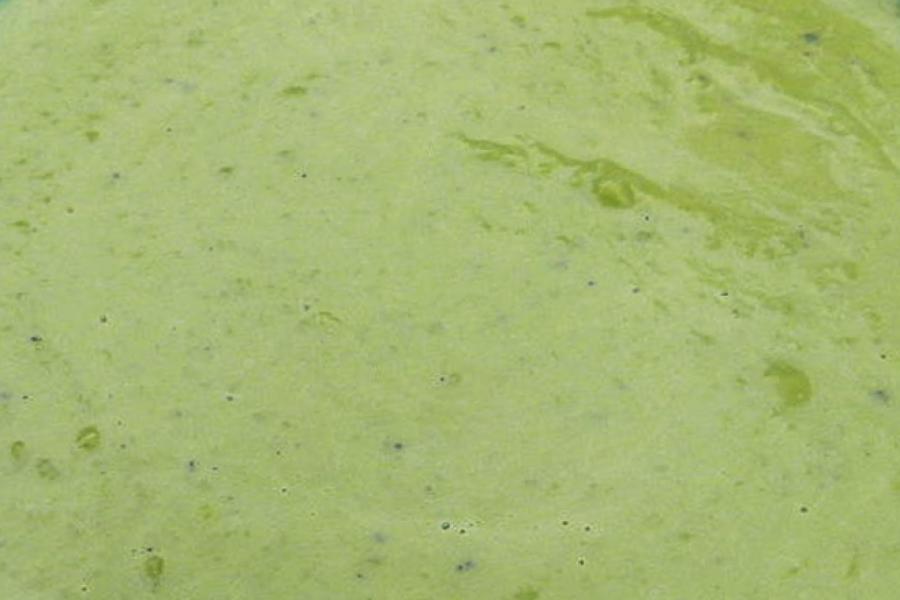 Guisantes triturados en puré o salsa.