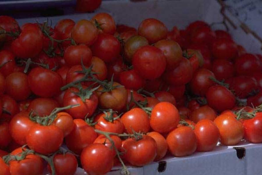 Tomates maduros en una caja.