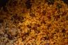 Detalle de un plato de arroz con gandules.