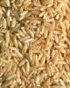 Arroz integral de grano largo.